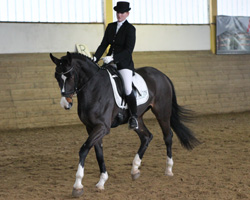 Mit dem vierjährigen Sancisco-Sohn Syrio gewann Bettina Hock die A-Dressur in Alt Sammit und wurde in der Dressurpferdeprüfung Klasse A Zweite. Fotos: Jutta Wego